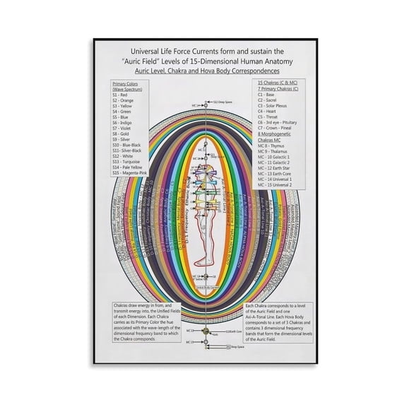 Educational Human Energy Field Poster, Illustrated Chakra and Anatomy Chart for Alternative Therapy Office and Classroom Decor
