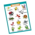 Cartoon Insects Chart Educational Insects & Bugs Poster - Nature Learning Chart for Preschool ...