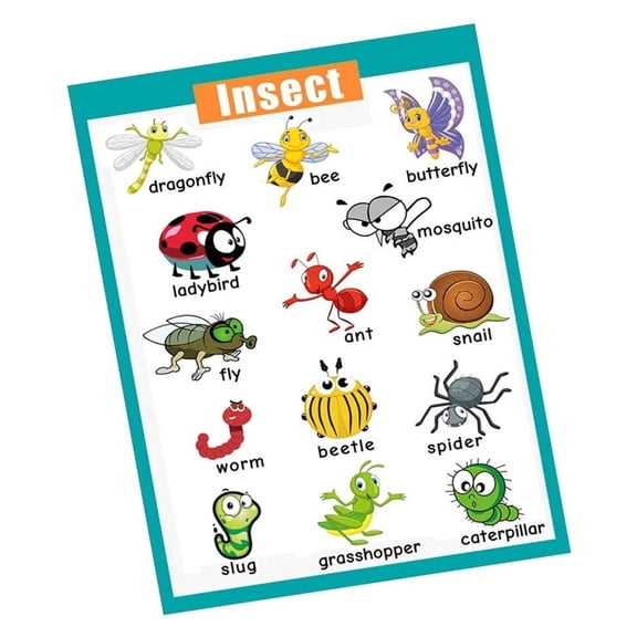 Educational Insects & Bugs Poster - Nature Learning Chart for Preschool and Kindergarten Classroom or Homeschool Wall Decor