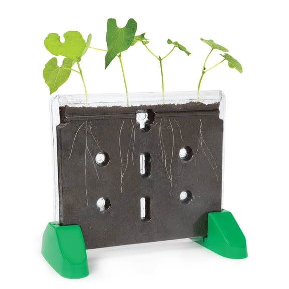 Educational Insights Sprout and Grow Window, Plant Growing Science Kit, Ages 5 and up
