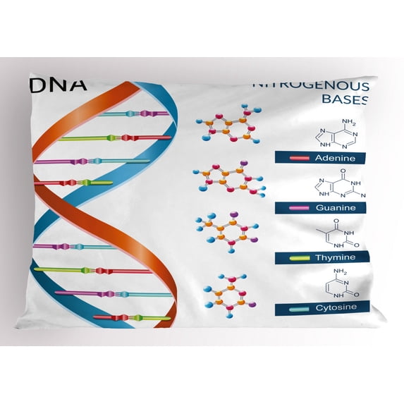 Educational Pillow Sham DNA Bases Chemistry Biochemistry Biotechnology Science Spiral Symbol Genetic, Decorative Standard Size Printed Pillowcase, 26 X 20 Inches, Multicolor, by Ambesonne