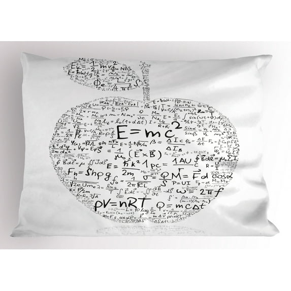 Educational Pillow Sham Equations and Formulas in the Shape of an Apple Learning Knowledge Student, Decorative Standard King Size Printed Pillowcase, 36 X 20 Inches, Black White, by Ambesonne