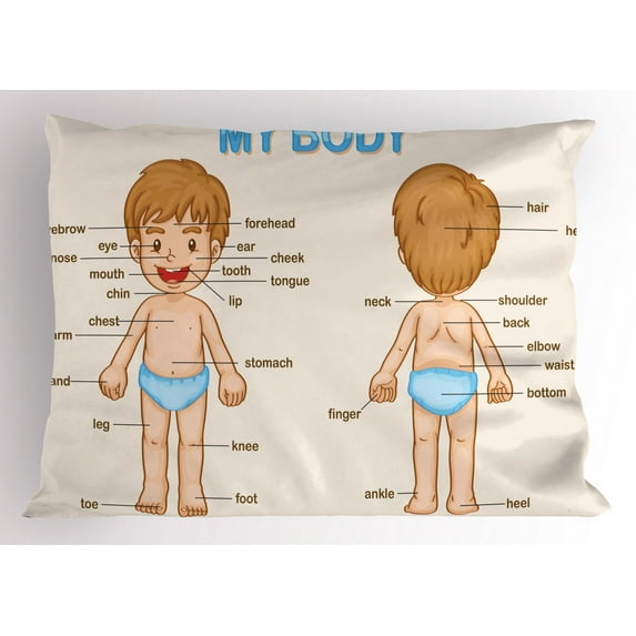 Educational Pillow Sham Illustration of the Parts of the Body Names on Cute Cartoon Kid Boy, Decorative Standard King Size Printed Pillowcase, 36 X 20 Inches, Pale Blue Pale Brown, by Ambesonne