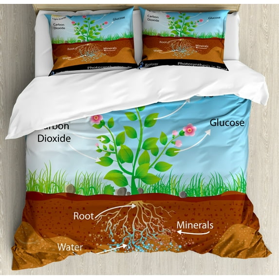 Educational Queen Size Duvet Cover Set, Photosynthesis in Plant Diagram Biology Botany Agriculture Environment Foliage, Decorative 3 Piece Bedding Set with 2 Pillow Shams, Multicolor, by Ambesonne