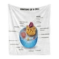 thumbnail image 1 of Educational Soft Flannel Fleece Blanket, Cell Anatomy Microscopic Components Colorful Vivid Microbiology, Cozy Plush for Indoor and Outdoor Use, 50" x 60", Pale Blue Purple Apricot, by Ambesonne, 1 of 6