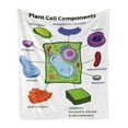 thumbnail image 1 of Educational Soft Flannel Fleece Blanket, Chart Showing Plant Cell Components in Cartoon Style Science Living Structure, Cozy Plush for Indoor and Outdoor Use, 50" x 60", Multicolor, by Ambesonne, 1 of 6