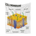 thumbnail image 1 of Educational Soft Flannel Fleece Blanket, Detailed Diagram of Membrane Cell Structure Types of Protein Molecules, Cozy Plush for Indoor and Outdoor Use, 50" x 70", Yellow Blue Green, by Ambesonne, 1 of 6