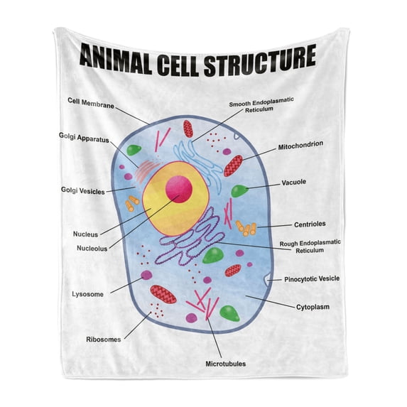 Educational Soft Flannel Fleece Blanket, Microbiology Theme Animal Cell Structure Genetic Research School Study Science, Cozy Plush for Indoor and Outdoor Use, 70" x 90", Multicolor, by Ambesonne
