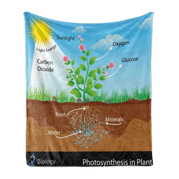 Educational Soft Flannel Fleece Blanket, Photosynthesis in Plant Diagram Biology Botany Agriculture Environment Foliage, Cozy Plush for Indoor and Outdoor Use, 60" x 80", Multicolor, by Ambesonne