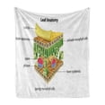 thumbnail image 1 of Educational Soft Flannel Fleece Throw Blanket, Anatomy of a Leaf Names of the Microscopic Parts Spongy Stoma Epidermis Form, Cozy Plush for Indoor and Outdoor Use, 50" x 60", Multicolor, by Ambesonne, 1 of 6