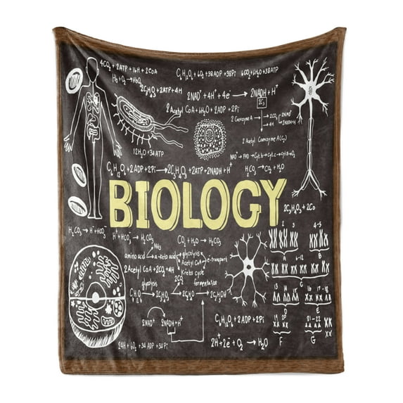 Educational Soft Flannel Fleece Throw Blanket, Black Chalkboard Biology Hand Written School Classroom, Cozy Plush for Indoor and Outdoor Use, 60" x 80", Black Brown Pale Yellow, by Ambesonne