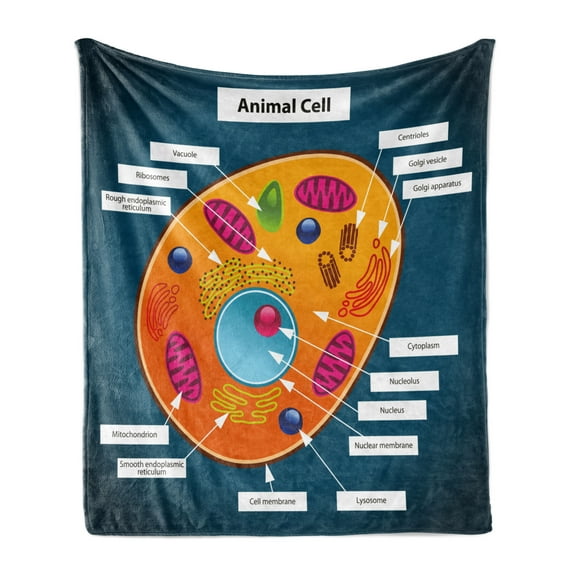 Educational Soft Flannel Fleece Throw Blanket, Science at School Cell of an Animal Colorful Display Studies Nucleus, Cozy Plush for Indoor and Outdoor Use, 50" x 60", Multicolor, by Ambesonne