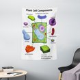 thumbnail image 1 of Educational Tapestry, Chart Showing Plant Cell Components in Cartoon Style Science Living Structure, Wall Hanging for Bedroom Living Room Dorm Decor, 40W X 60L Inches, Multicolor, by Ambesonne, 1 of 2