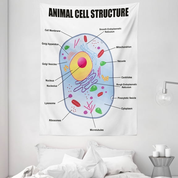 Educational Tapestry, Microbiology Theme Animal Cell Structure Genetic Research School Study Science, Wall Hanging for Bedroom Living Room Dorm Decor, 60W X 80L Inches, Multicolor, by Ambesonne