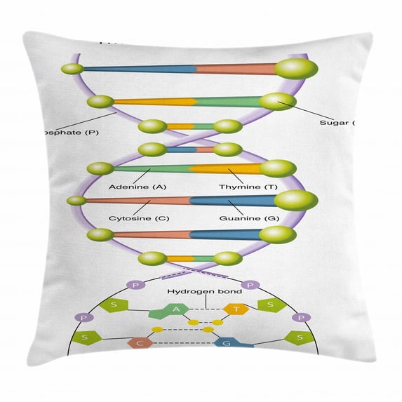 Educational Throw Pillow Cushion Cover, Colorful Structure of DNA Genetic Code Amino Acids Nucleotides Scientific Study, Decorative Square Accent Pillow Case, 24 X 24 Inches, Multicolor, by Ambesonne