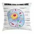 thumbnail image 1 of Educational Throw Pillow Cushion Cover, Microbiology Theme Animal Cell Structure Genetic Research School Study Science, Decorative Square Accent Pillow Case, 18 X 18 Inches, Multicolor, by Ambesonne, 1 of 2