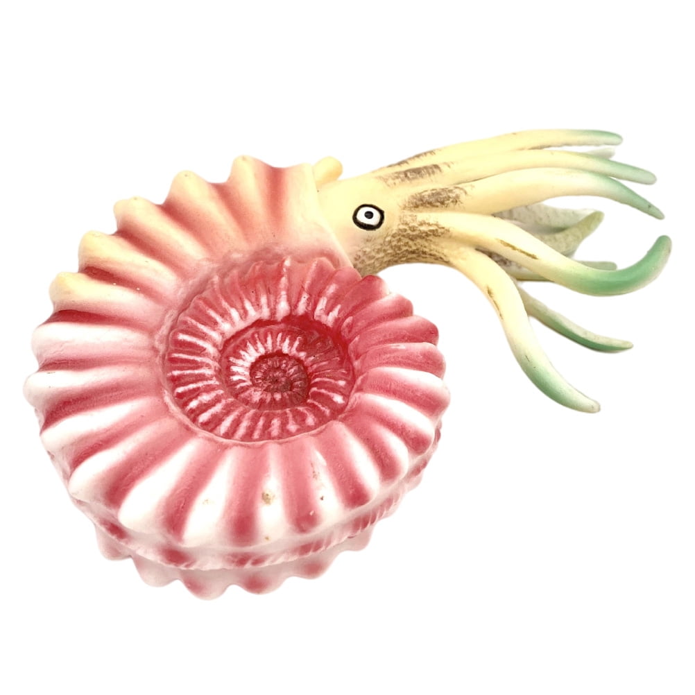 Educational Toys Plastic Trim Nautilus Model Birthday Party Favors