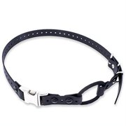 Educator Quick Snap Bungee Dog Collar, Biothane, Waterproof, Odorproof, Easy Connect and Disconnect Clasp and D Ring with Comfort Bungee Loop, Must be cut for Custom Fit, 3/4-Inch, Black