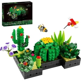 LEGO 10309 Icons Les Succulentes Plantes Artificielles d'Intérieur pour  Décoration de Maison, Construisez 9 Petites Plantes, Collection Botanique  Adultes : : Jouets