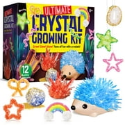 Eduman 12PCS Crystal Growing Kit,Science Educational Kit,Crystal Toy Craft Gifts for Children Age 8+