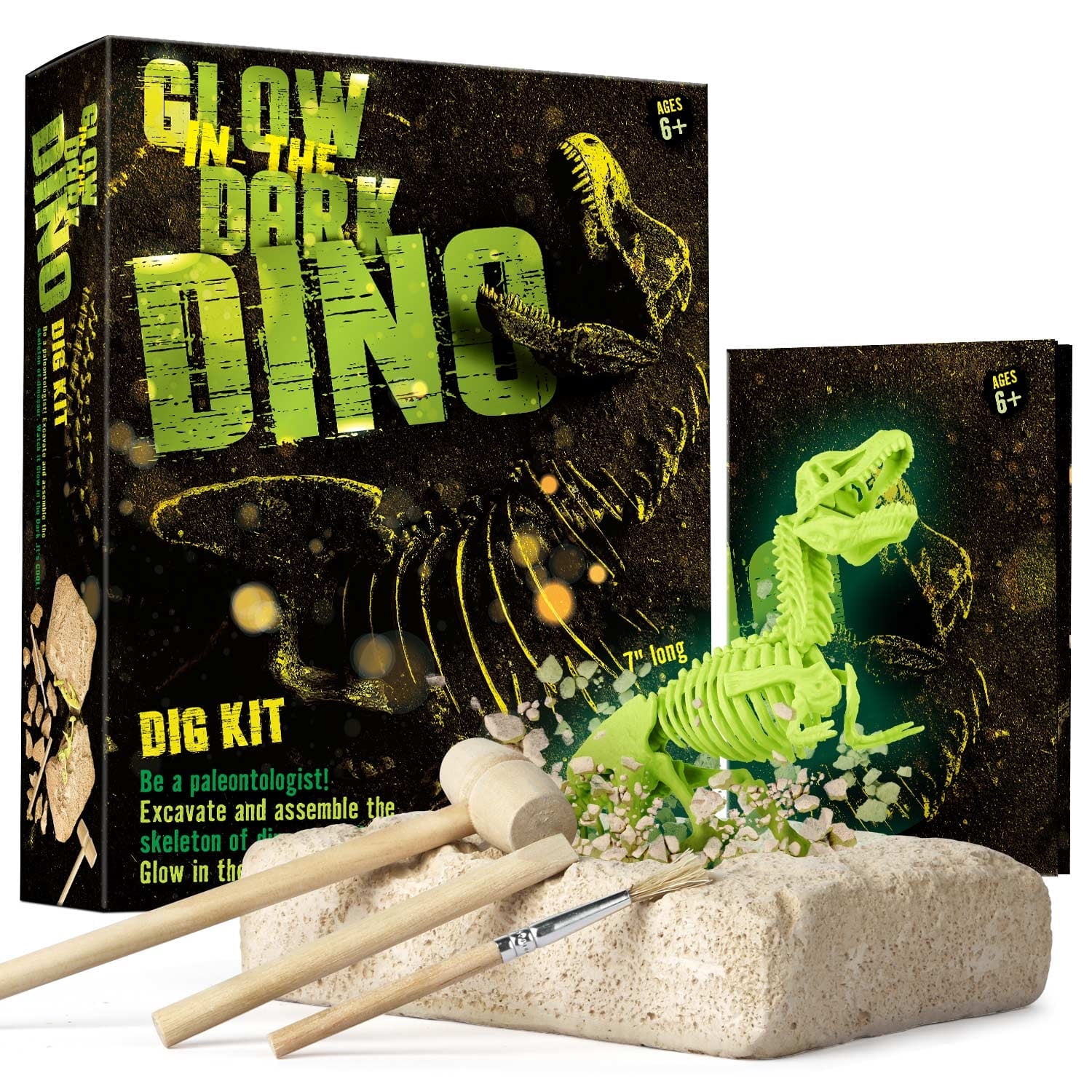 Eduman Dinosaur Kids Build Kit, Glow in Dark Skeleton Dino Fossil ...
