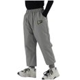 thumbnail image 1 of Edvintorg 3-10 Years Boys Sweatpants Winter Thick Velvet Warm Cotton Casual Elastic Waist Down Pants with Pocket Outdoor Boys Athletic Pants, 1 of 2