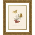 thumbnail image 1 of Edward Donovan 11x14 Gold Ornate Wood Frame and Double Matted Museum Art Print Titled - An Epitome of the Natural History of the Insects of New Holland, New Zealand Pl.22 (1805), 1 of 4