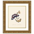 thumbnail image 1 of Edward Donovan 12x14 Gold Ornate Wood Frame and Double Matted Museum Art Print Titled - An Epitome of the Natural History of the Insects of New Holland, New Zealand Pl.26 (1805), 1 of 4