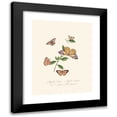 thumbnail image 1 of Edward Donovan 19x24 Black Modern Framed Museum Art Print Titled - An Epitome of the Natural History of the Insects of New Holland, New Zealand Pl.27 (1805), 1 of 5