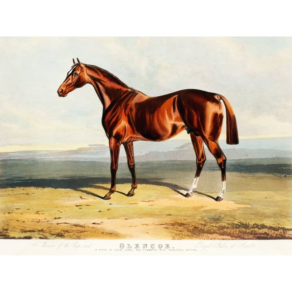 Edward Duncan Glencoe Equine Horse 1836 Extra Large XL Wall Art Poster Print