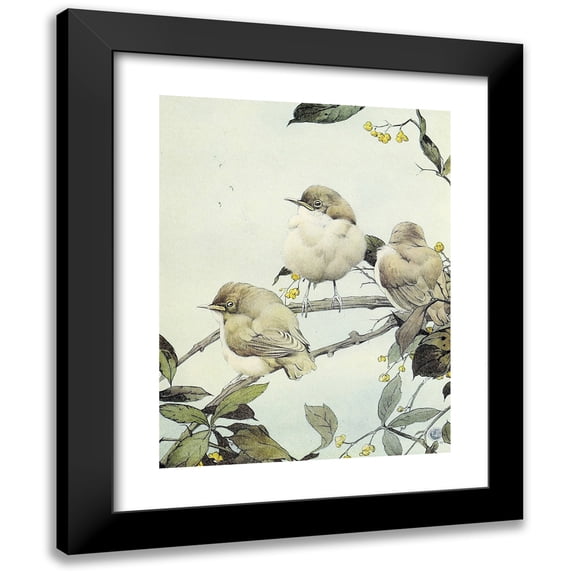 Edward Julius Detmold 12x14 Black Modern Framed Museum Art Print Titled - The Willow Warbler (1912)