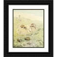 thumbnail image 1 of Edward Julius Detmold 20x24 Black Ornate Framed Double Matted Museum Art Print Titled: The Skua (1912), 1 of 5