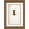 thumbnail image 1 of Edward Lear 2x Matted 18x24 Gold Ornate Framed Art Print 'Psitteuteles versicolor', 1 of 2