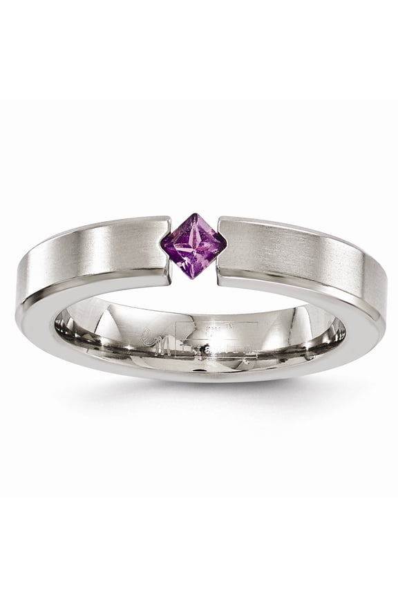 Edward Mirell Titanium Satin Amethyst 4mm Band