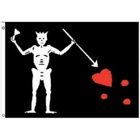 Edward Teach Blackbeard Skeleton Pirate Polyester 3x5 Foot Flag Outdoor Banner