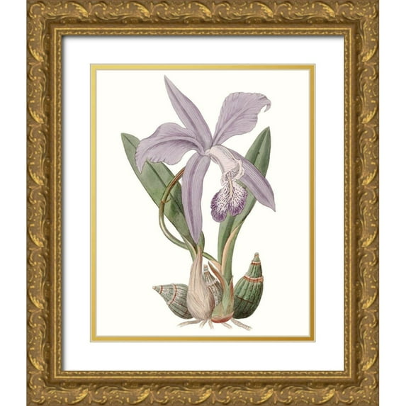 Edwards 15x18 Gold Ornate Wood Framed with Double Matting Museum Art Print Titled - Lavender Beauties IV
