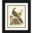 thumbnail image 1 of Edwards, George 12x14 Black Ornate Wood Framed with Double Matting Museum Art Print Titled - Regal Pheasants III, 1 of 4