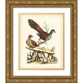thumbnail image 1 of Edwards, George 12x14 Gold Ornate Wood Framed with Double Matting Museum Art Print Titled - Regal Pheasants I, 1 of 4