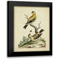 thumbnail image 1 of Edwards, George 20x24 Black Modern Framed Museum Art Print Titled - Edwards Bird Pairs III, 1 of 5