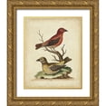 thumbnail image 1 of Edwards, George 20x24 Gold Ornate Wood Framed with Double Matting Museum Art Print Titled - Edwards Cross Bills, 1 of 4