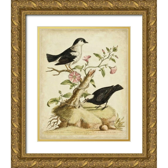 Edwards, George 26x32 Gold Ornate Wood Framed with Double Matting Museum Art Print Titled - Natural Habitat I