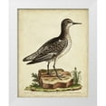 thumbnail image 1 of Edwards, George 26x32 White Modern Wood Framed Museum Art Print Titled - Antique Bird Menagerie V, 1 of 4