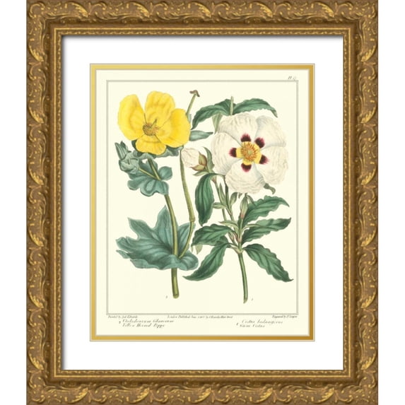 Edwards, Sydenham 12x14 Gold Ornate Wood Framed with Double Matting Museum Art Print Titled - Gardeners Delight III