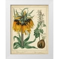 thumbnail image 1 of Edwards, Sydenham 12x14 White Modern Wood Framed Museum Art Print Titled - Golden Crown Imperial, 1 of 4