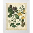 thumbnail image 1 of Edwards, Sydenham 12x14 White Modern Wood Framed Museum Art Print Titled - Non-Embellish Enchanted Garden I, 1 of 4
