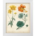 thumbnail image 1 of Edwards, Sydenham 12x14 White Modern Wood Framed Museum Art Print Titled - Summer Beauties II, 1 of 4