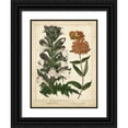 thumbnail image 1 of Edwards, Sydenham 15x18 Black Ornate Wood Framed with Double Matting Museum Art Print Titled - Non-Embellish Enchanted Garden IV, 1 of 4