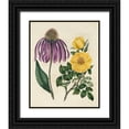 thumbnail image 1 of Edwards, Sydenham 20x24 Black Ornate Wood Framed with Double Matting Museum Art Print Titled - Garden Pairings VII, 1 of 4