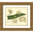 thumbnail image 1 of Edwards, Sydenham 32x26 Gold Ornate Wood Framed with Double Matting Museum Art Print Titled - Antique Orchid Study II, 1 of 4