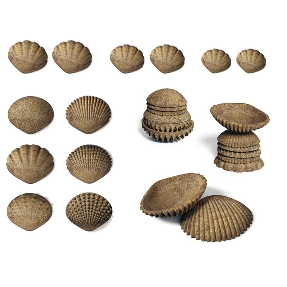 Edx Education Tactile Shells, Set of 36